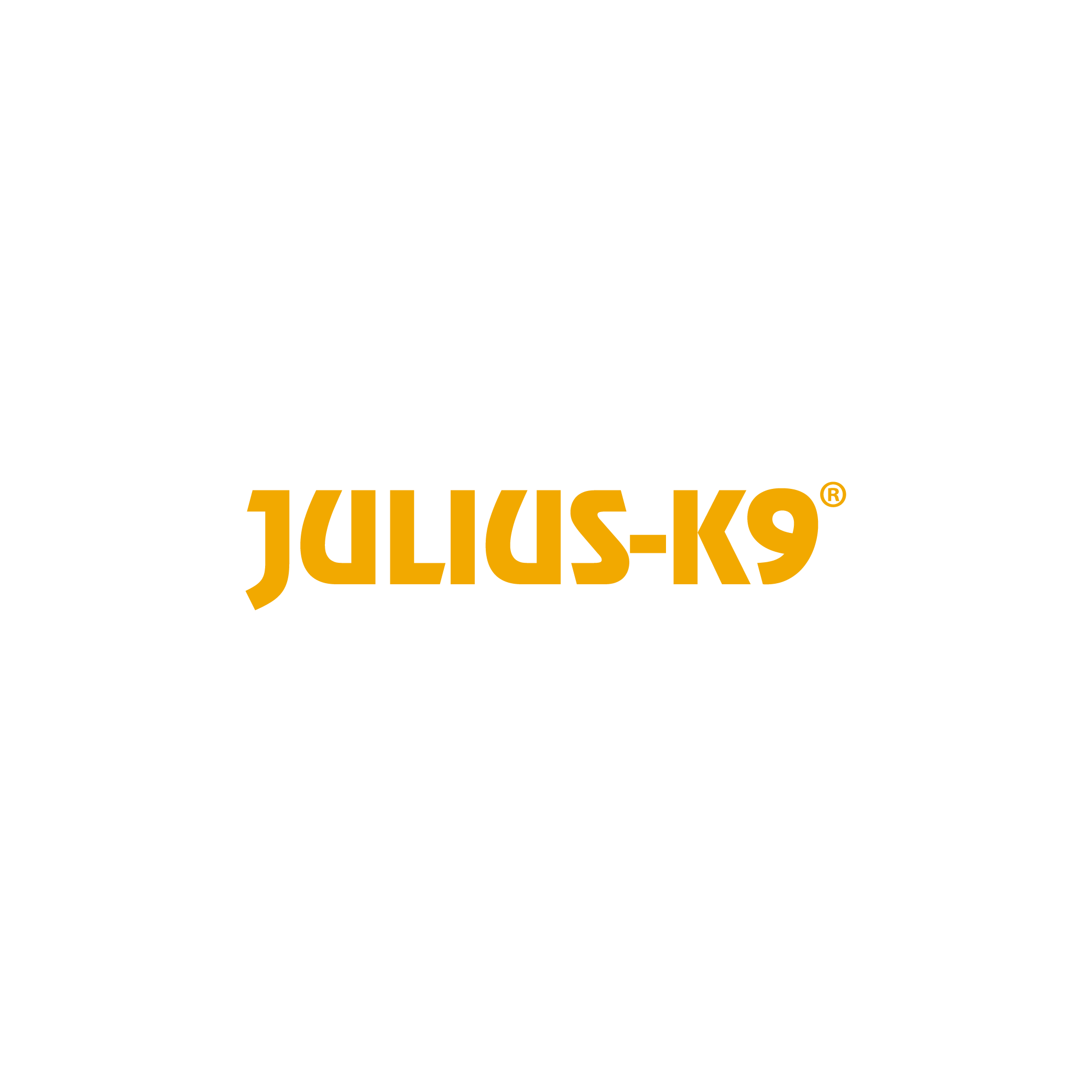 JULIUS K9 RGB 01