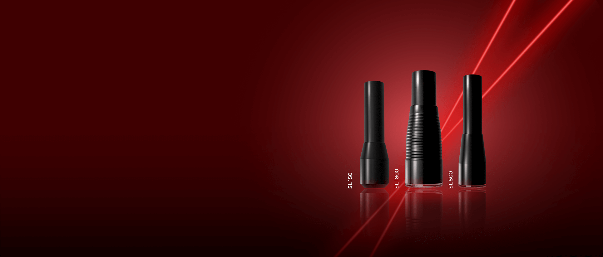 SL januar keszulek web cover