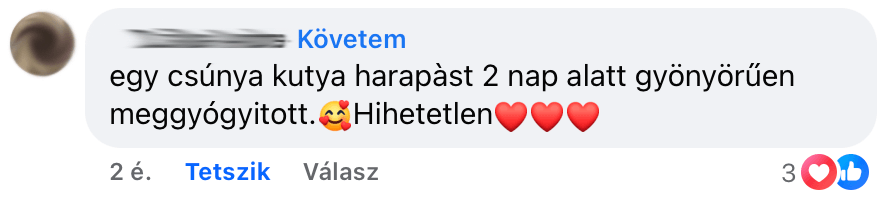 borproblemak2